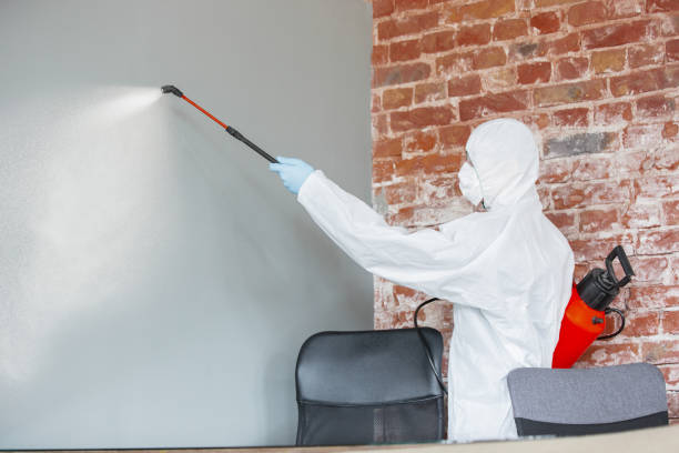 Best Water Damage & Mold Remediation  in Marlboro, NY