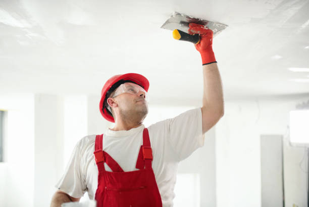 Best Comprehensive Air Testing for Mold Contaminants  in Marlboro, NY