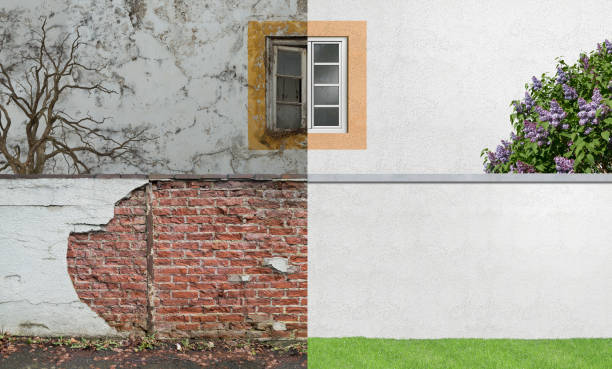 Best Real Estate Mold Inspection  in Marlboro, NY