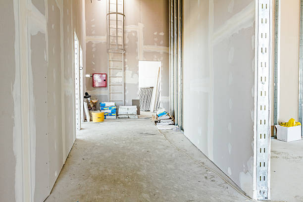 Best Attic Mold Removal  in Marlboro, NY