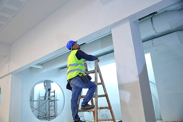 Best Forensic Mold Investigation  in Marlboro, NY