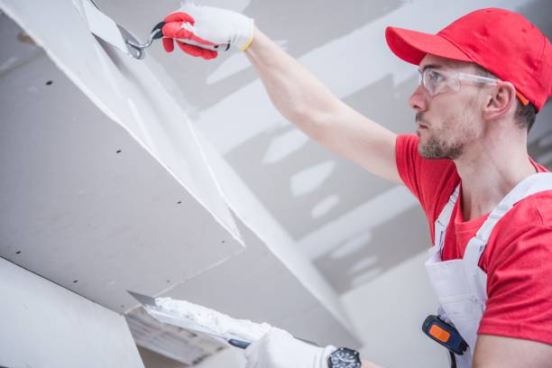Reliable Marlboro, NY Mold Removal Solutions